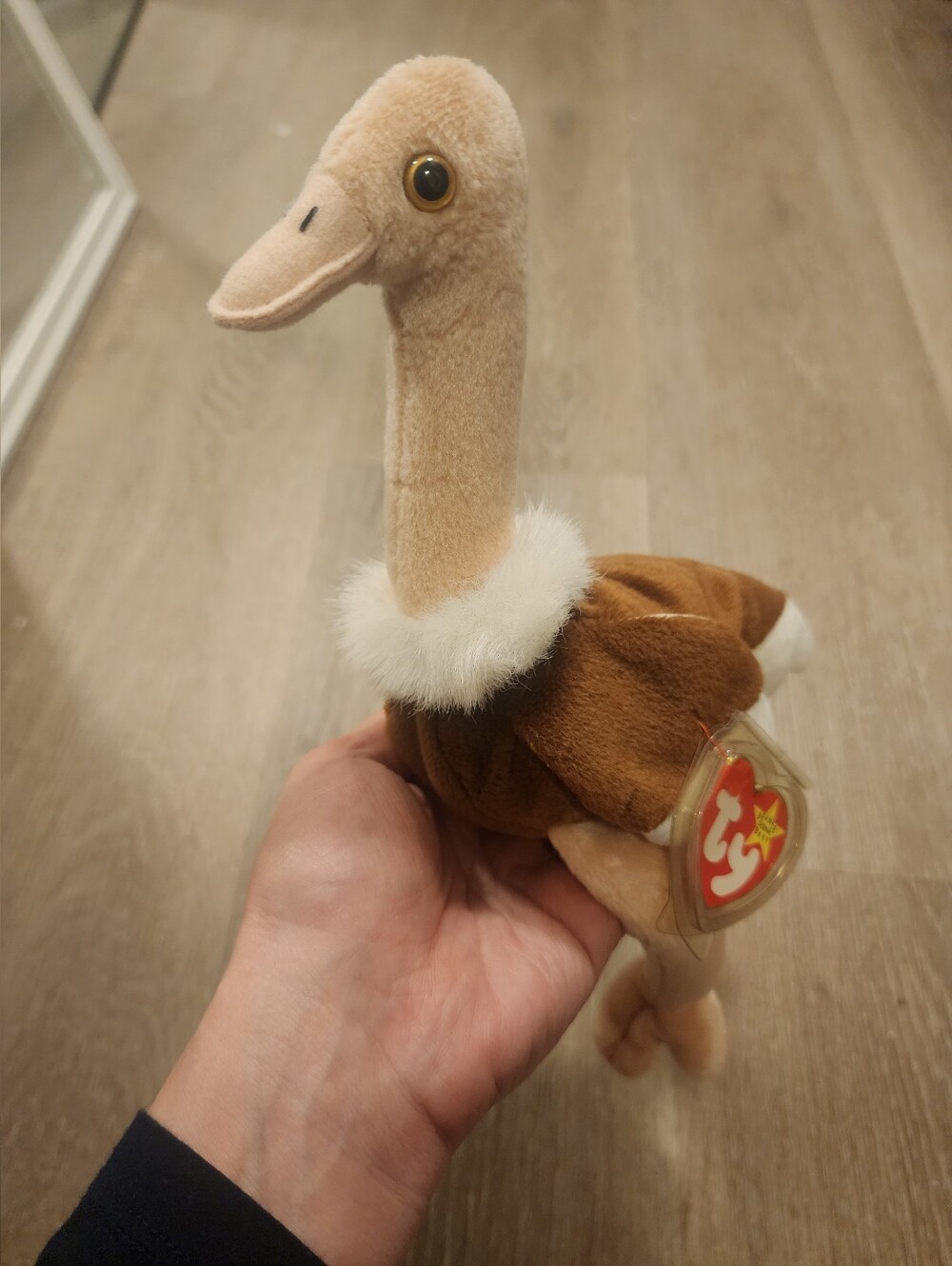 Stretch the Ostrich TY Beanie Baby.